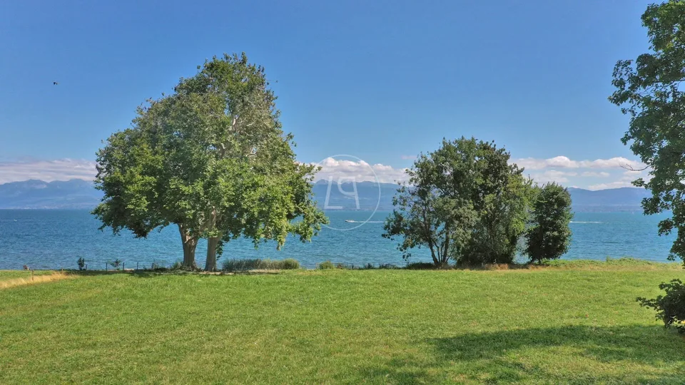 Superbe parcelle de 6 500 m2 pied dans l'eau, Rolle