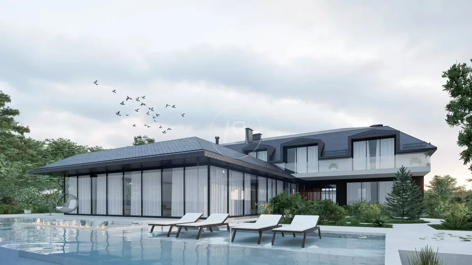 Progetto di una lussuosa villa contemporanea a piedi nell'acqua, Rolle