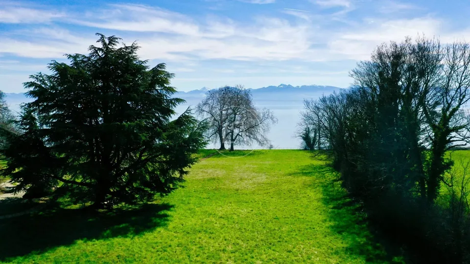 Progetto di una lussuosa villa contemporanea a piedi nell'acqua, Rolle – foto 10 di 13