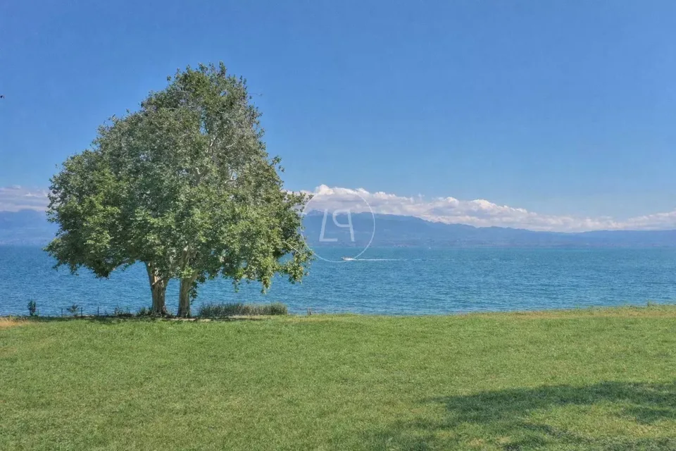 Progetto di una lussuosa villa contemporanea a piedi nell'acqua, Rolle – foto 8 di 13
