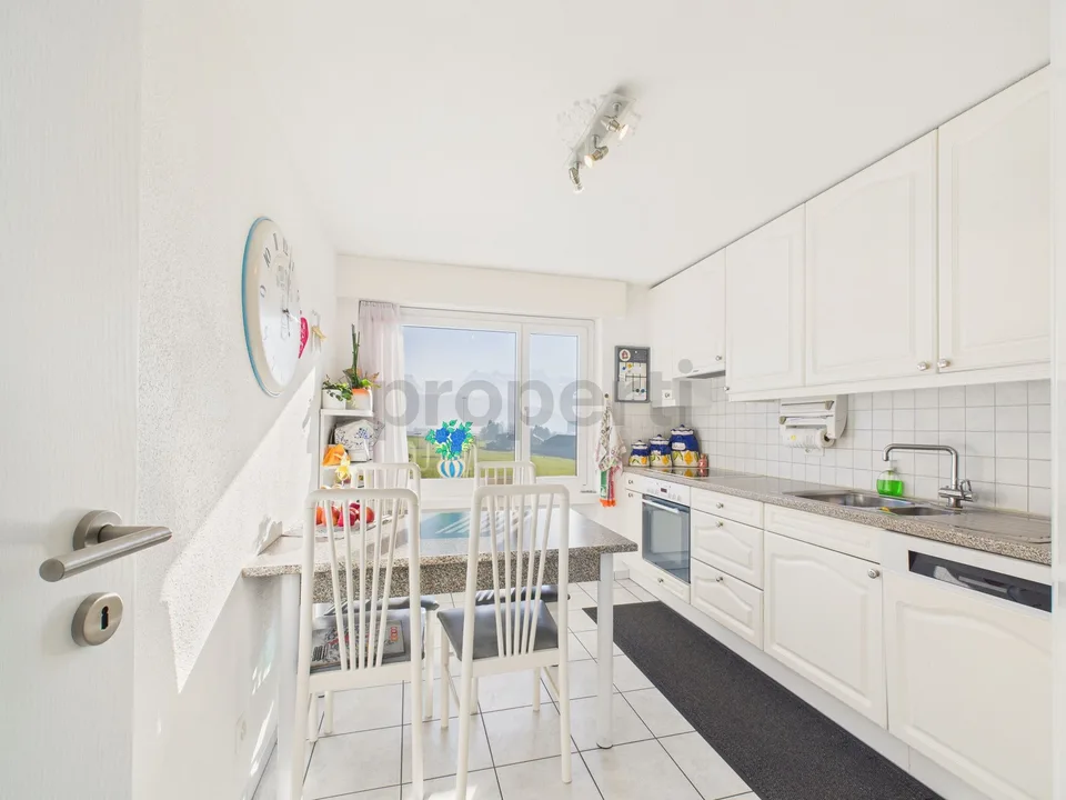 Vivere con una vista mozzafiato sui Mythen - appartamento attraente di 4,5 stanze a Seewen