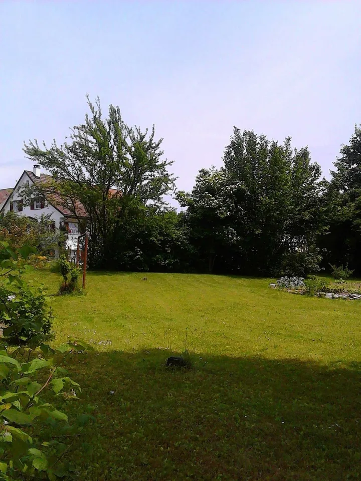 Residential and Commercial Property