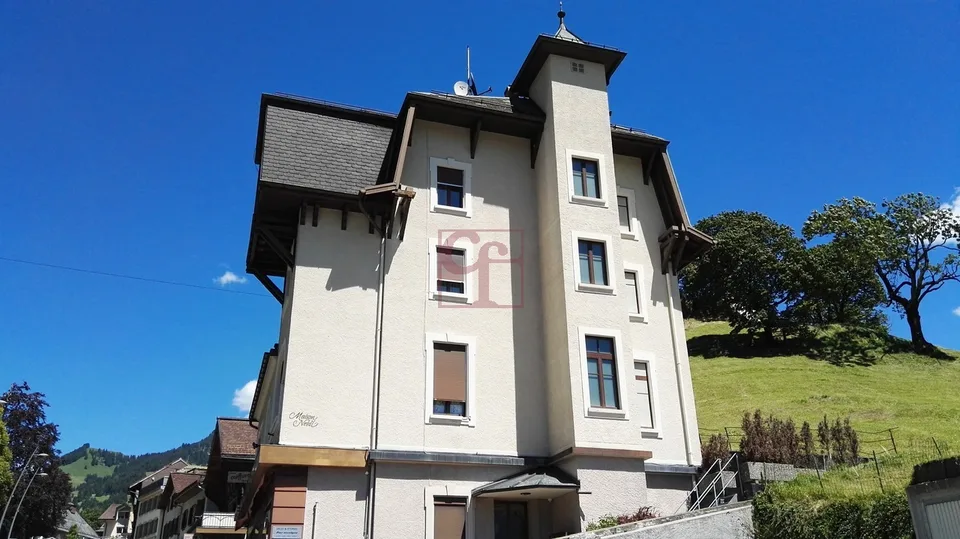 Immeuble mixte en PPE au coeur du village