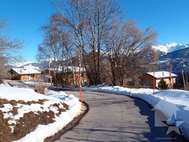 Ovronnaz, Valimmobilier