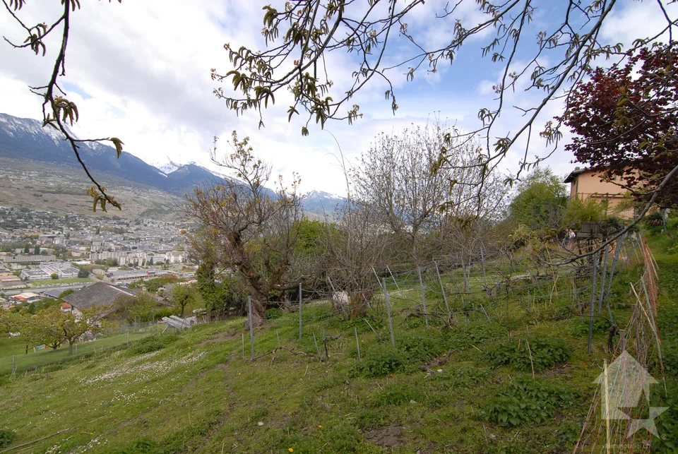 Magnificent land in Salins – photo 7 of 13