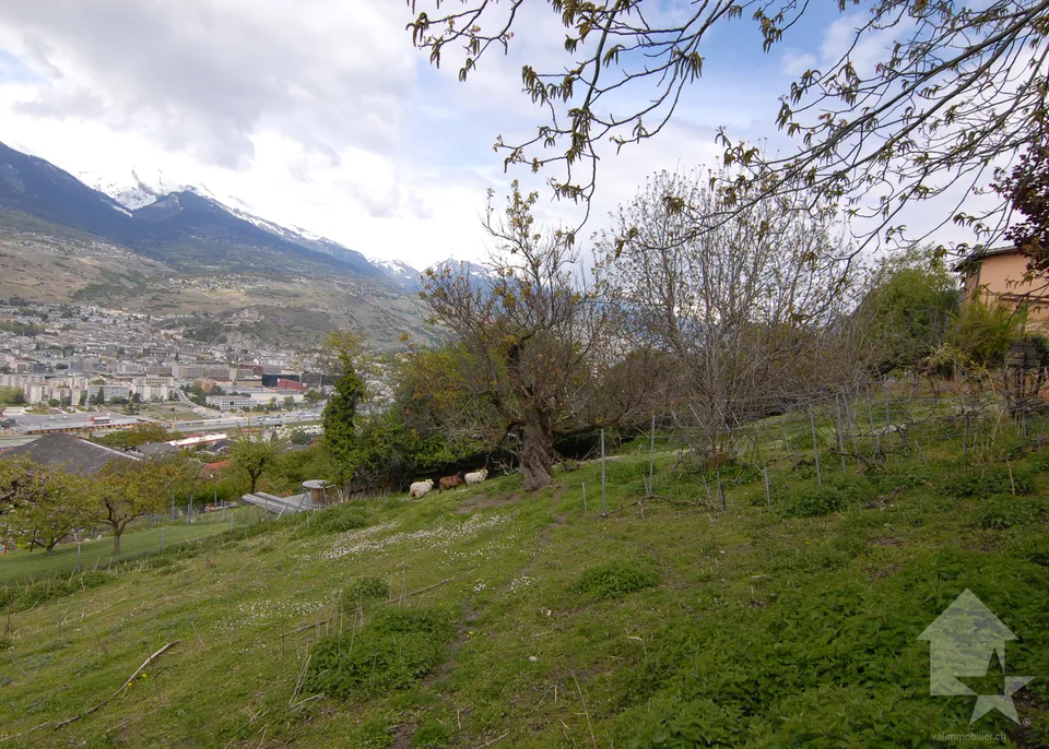 Magnificent land in Salins – photo 8 of 13