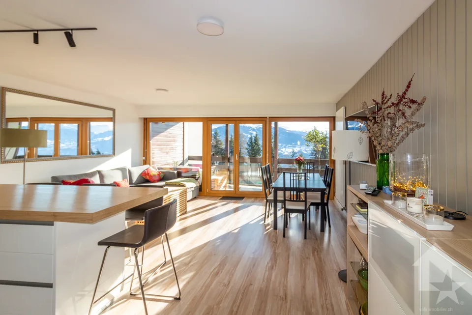 Spacieux appartement rénové 2.5 pièces jouissant d'une vue magnifique