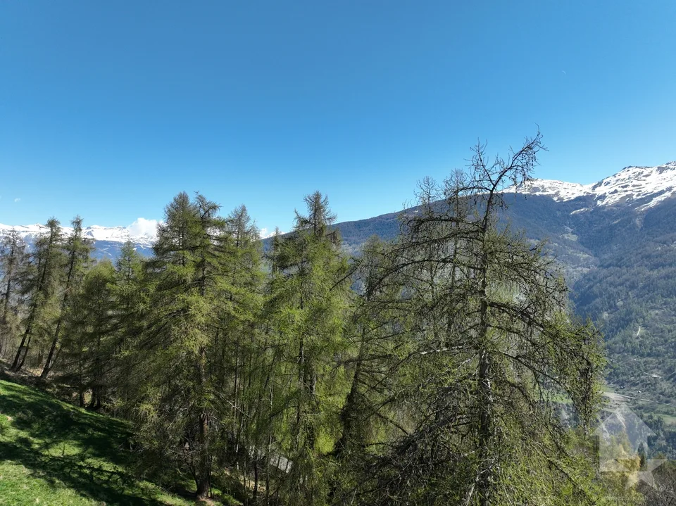 Grundstück an den Masses mit freiem Blick