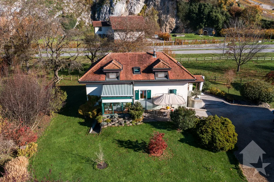 Chablais vaudois - villa et rural idéal pour chevaux
