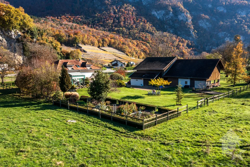 Chablais vaudois - villa et rural idéal pour chevaux
