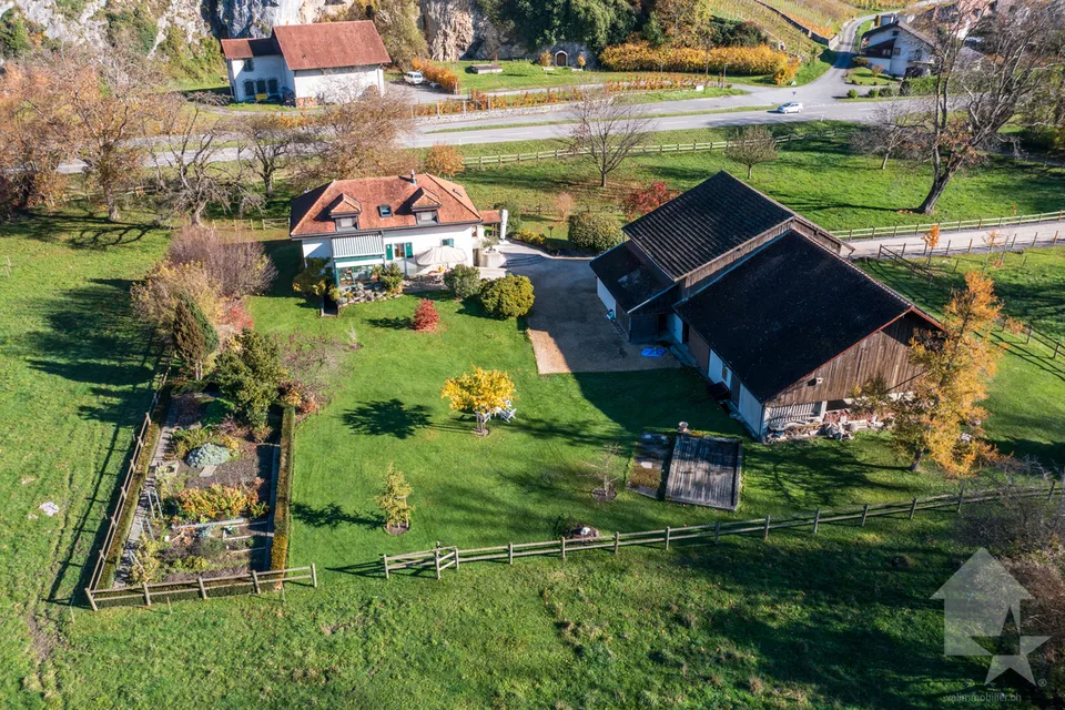 Chablais vaudois - villa et rural idéal pour chevaux