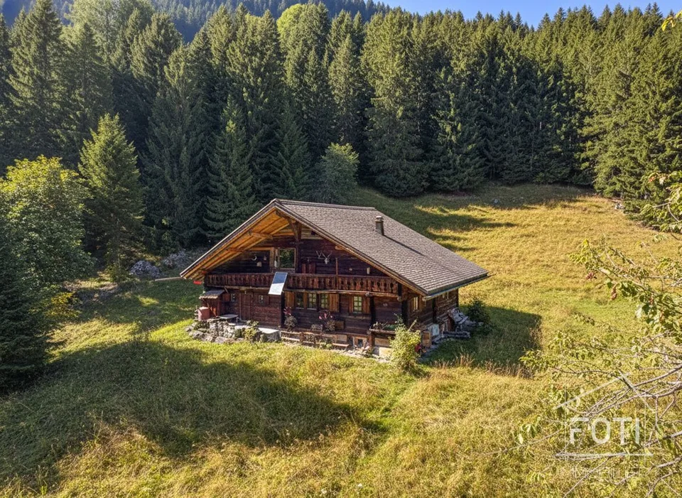 Bien rare - Chalet de 7,5 pièces niché dans 28'000 m² de forêt et de prairie.