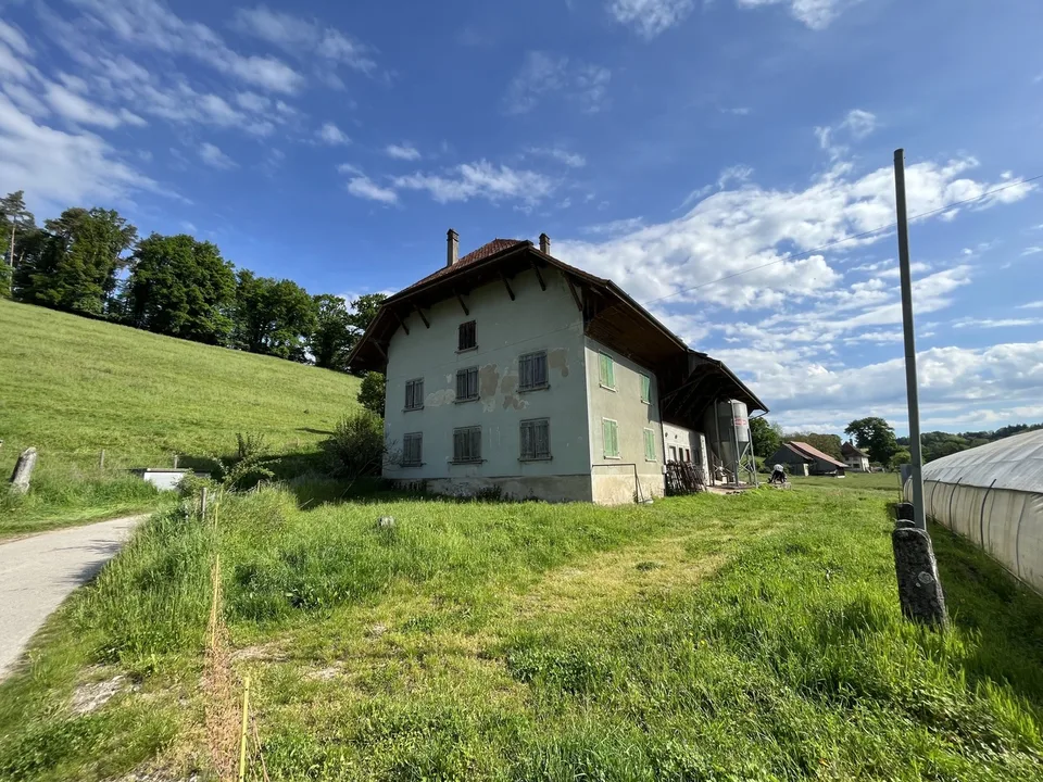 Bella fattoria con grande potenziale