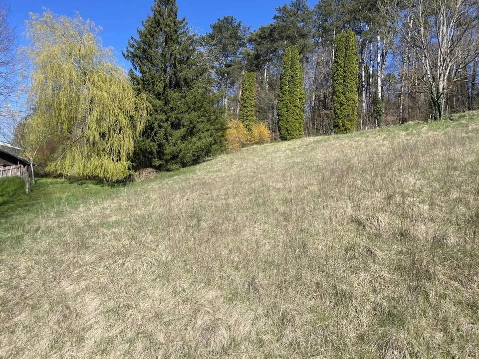 Land, Porrentruy - 455000