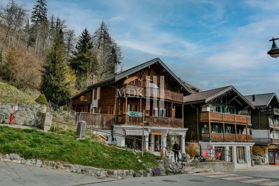 Magnifique chalet comprenant un appartement et un local commercial à Leysin