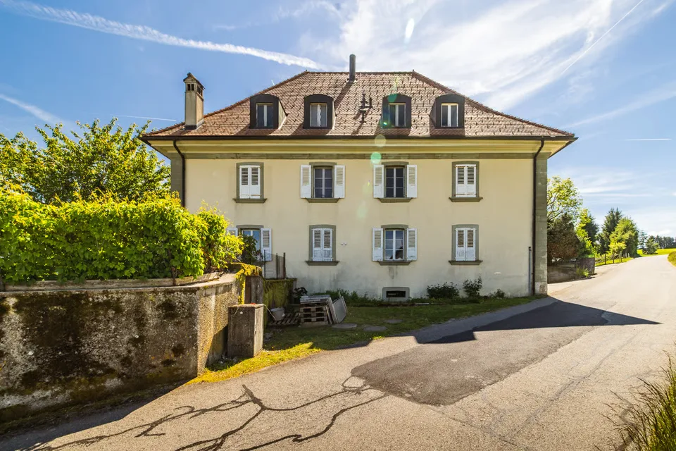Opportunité rare : vaste domaine avec potentiel constructible – photo 8 sur 13