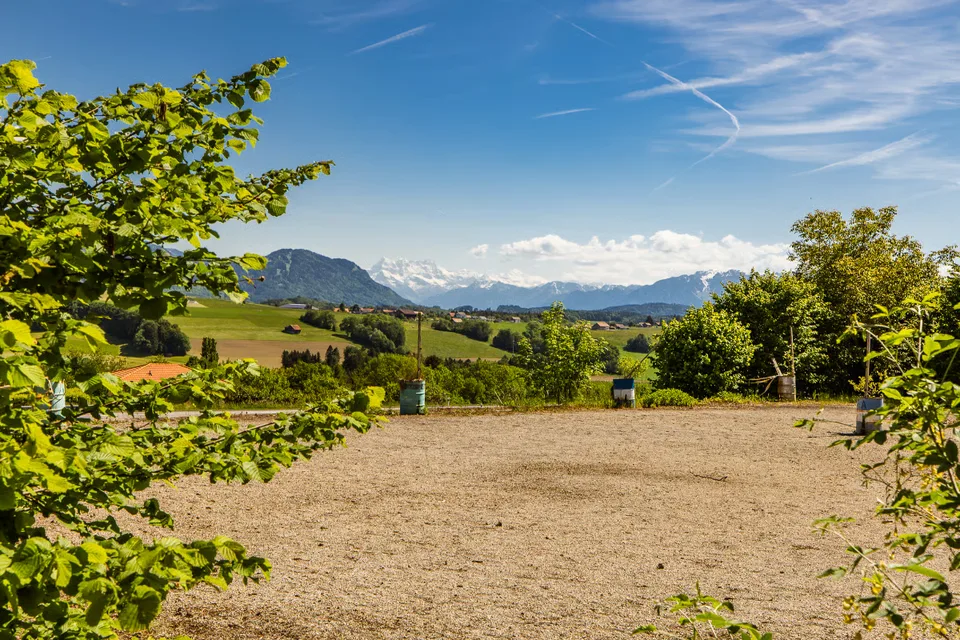 Opportunité rare : vaste domaine avec potentiel constructible – photo 9 sur 13