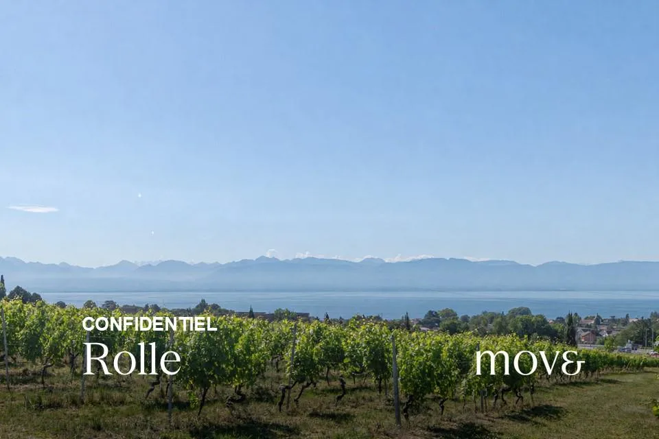 Magnifique triplex au coeur des vignes