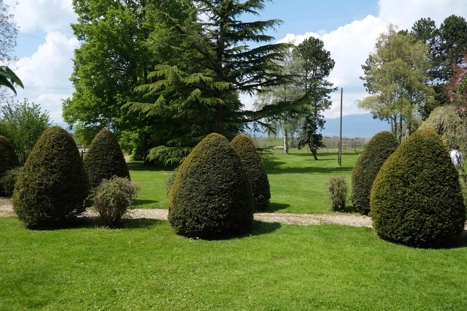 Magnifique terrain pour 1 à 3 villas - 540 spb avec parc et carré de dressage