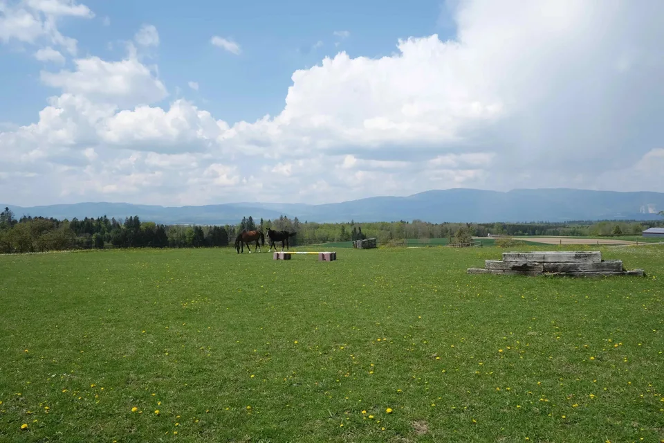 Magnifique terrain pour 1 à 3 villas - 540 spb avec parc et carré de dressage