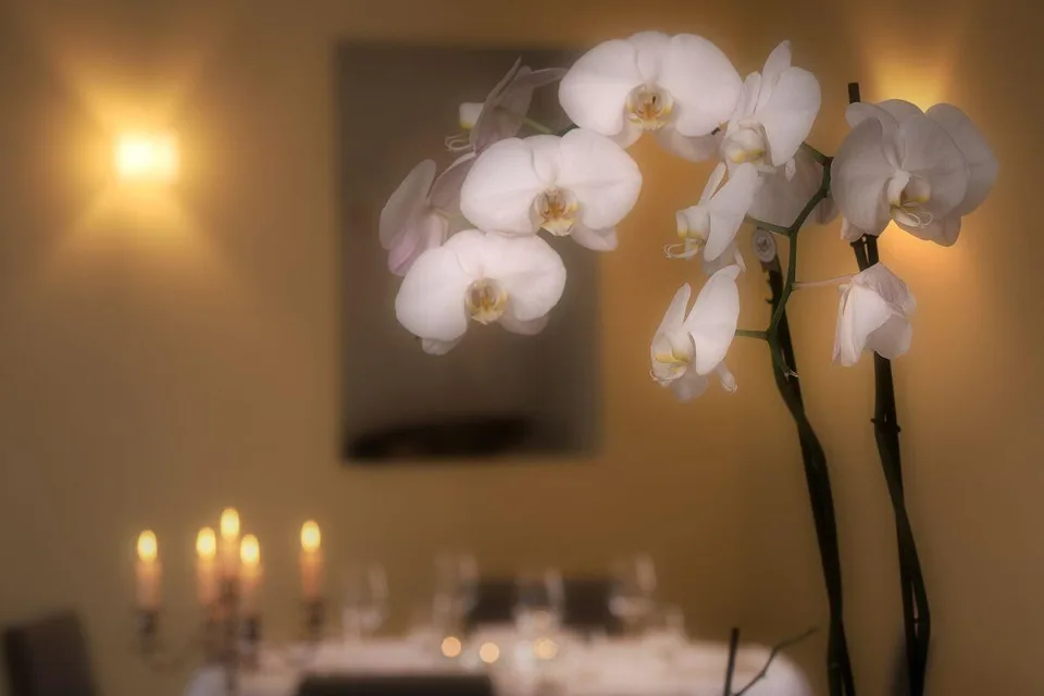 Zauberhaftes Hotel & Restaurant im Locarnese – Eine Oase voller Cha... – Foto 17 von 24