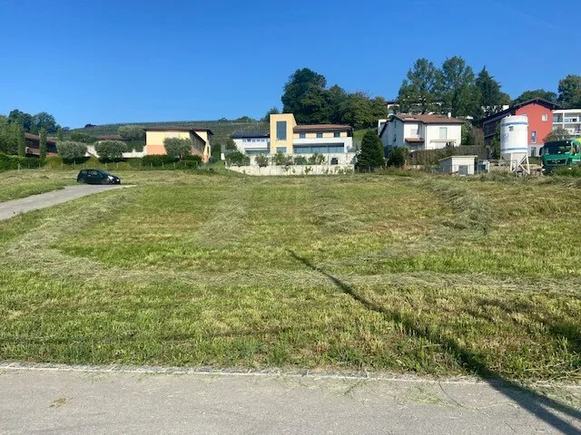 TERRENO DI 600 MQ CON LICENZA PER UNA VILLA A STABIO