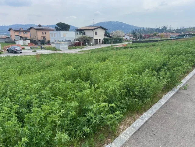 TERRENO DI 600 MQ CON LICENZA PER UNA VILLA A STABIO