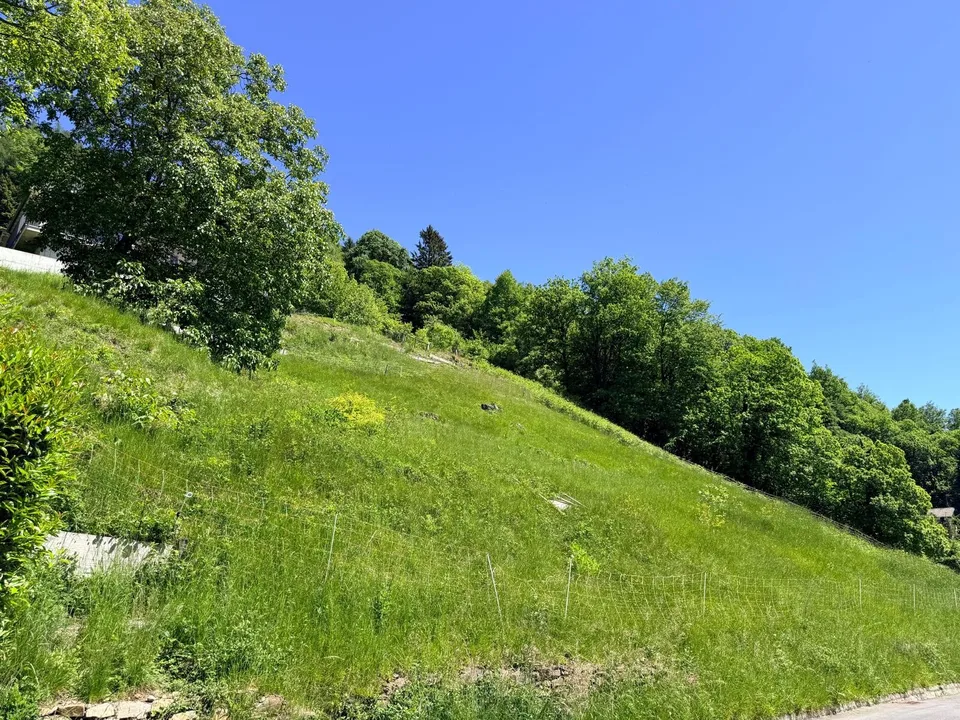 TERRAIN CONSTRUCTIBLE DE 1237 M² AVEC VUE PANORAMIQUE - ARANNO