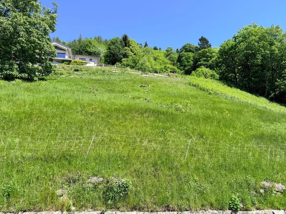 TERRENO EDIFICABILE DI 1237 MQ CON VISTA PANORAMICA - ARANNO