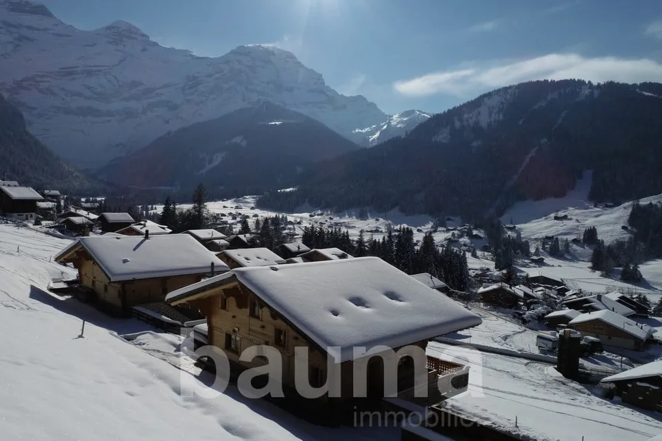 Chalet Capucchione, Les Diablerets