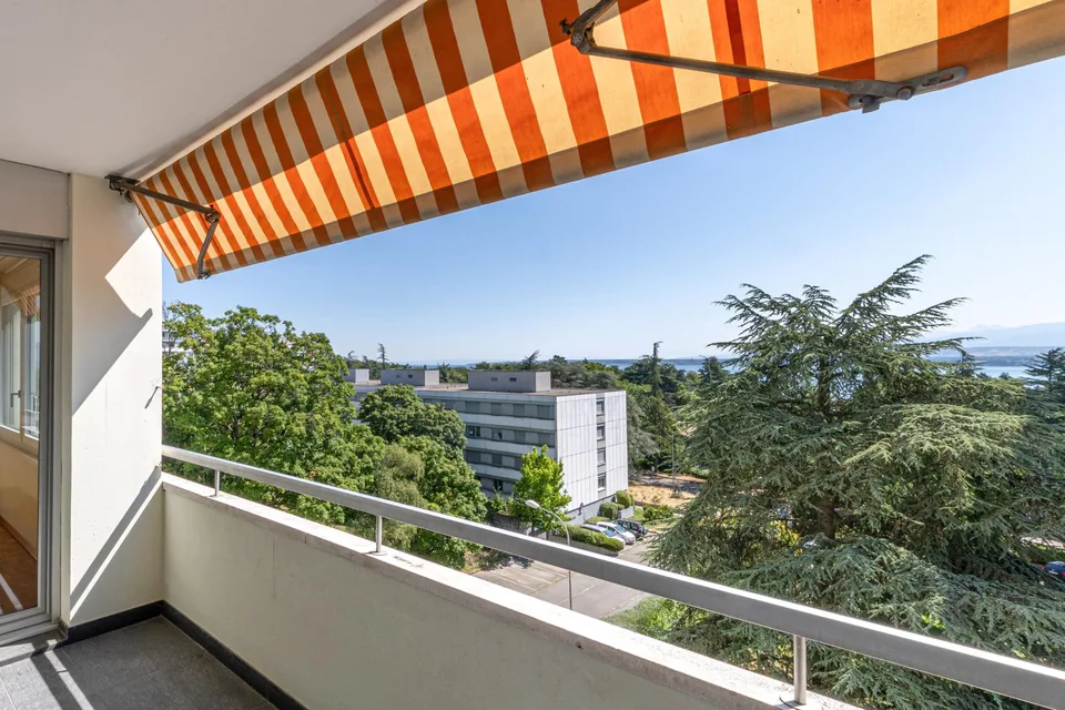 Appartement familial avec vue lac