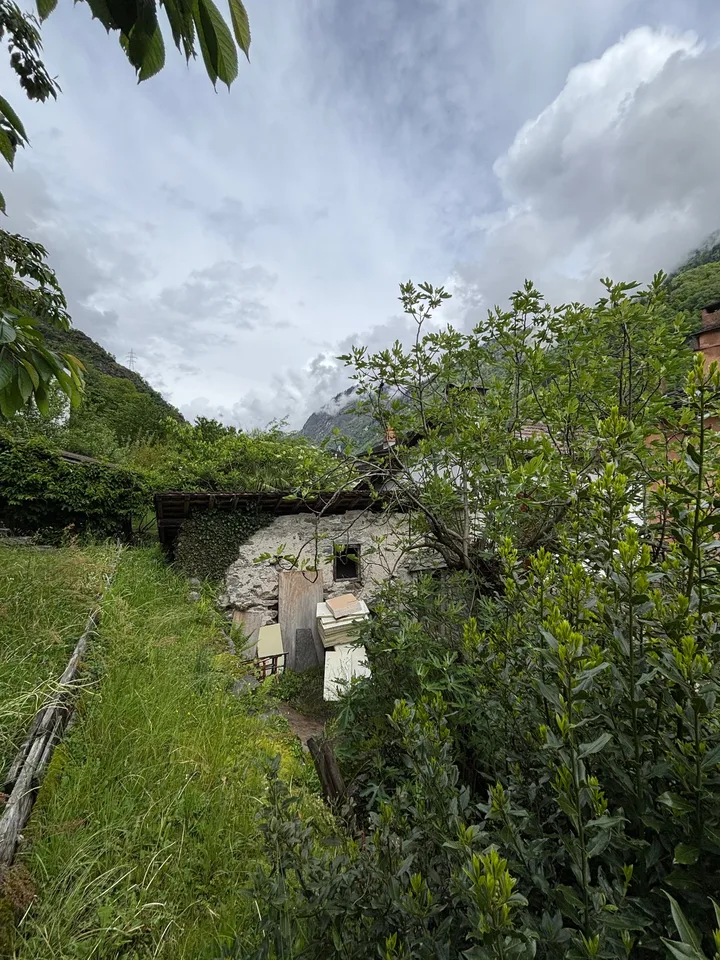 Maison à rénover avec débarras à Lostallo (GR)