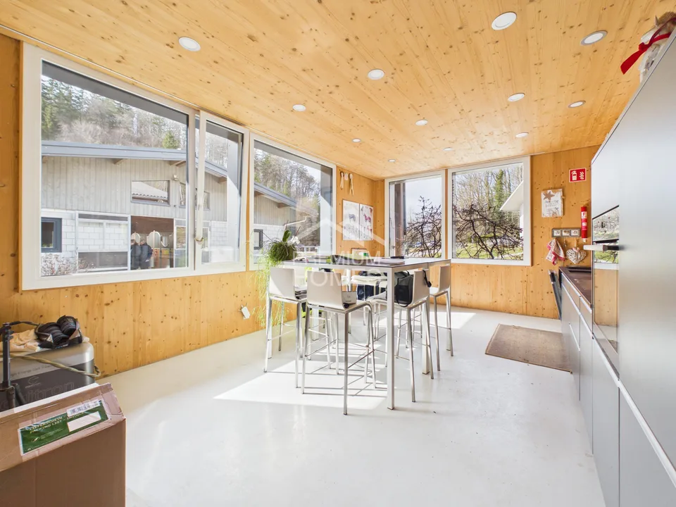 Installation équestre professionnelle avec 24 boxes, manège et maison d'habitation ! – photo 11 sur 13