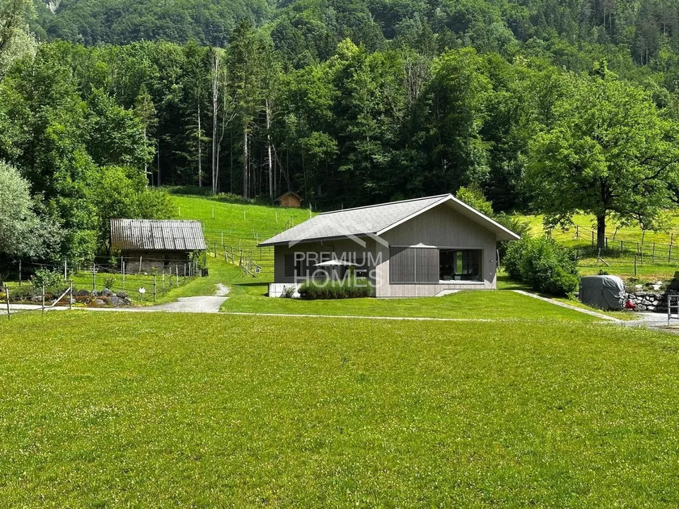 Professional Equestrian Facility with 24 Stalls, Riding Arena, and Residential House! – photo 13 of 13