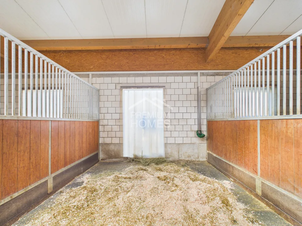 Professional Equestrian Facility with 24 Stalls, Riding Arena, and Residential House! – photo 6 of 13