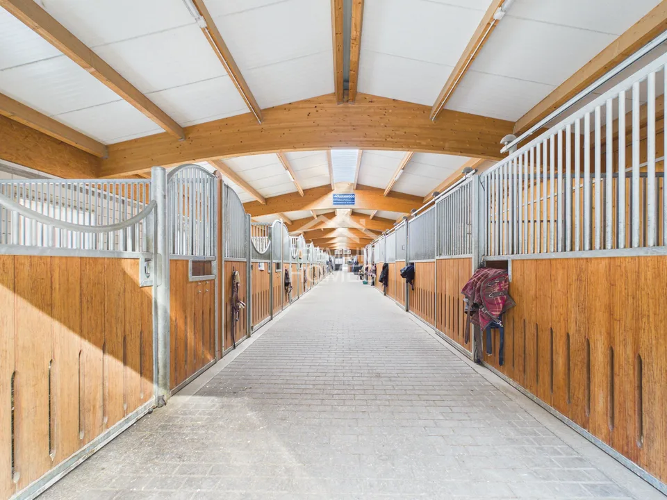 Installation équestre professionnelle avec 24 boxes, manège et maison d'habitation !