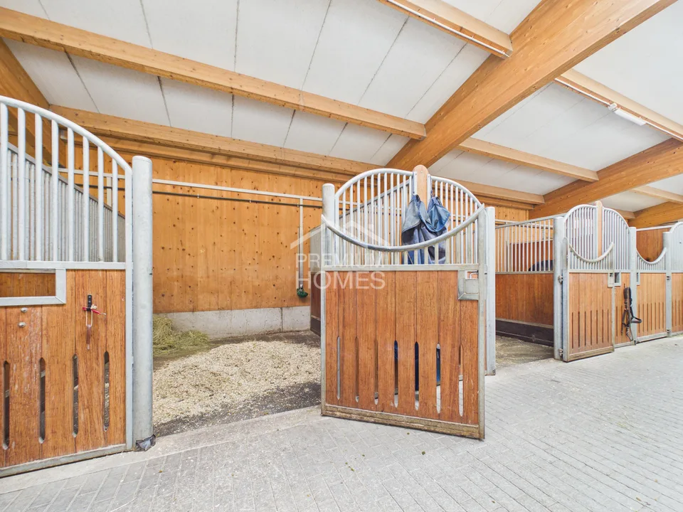 Installation équestre professionnelle avec 24 boxes, manège et maison d'habitation !