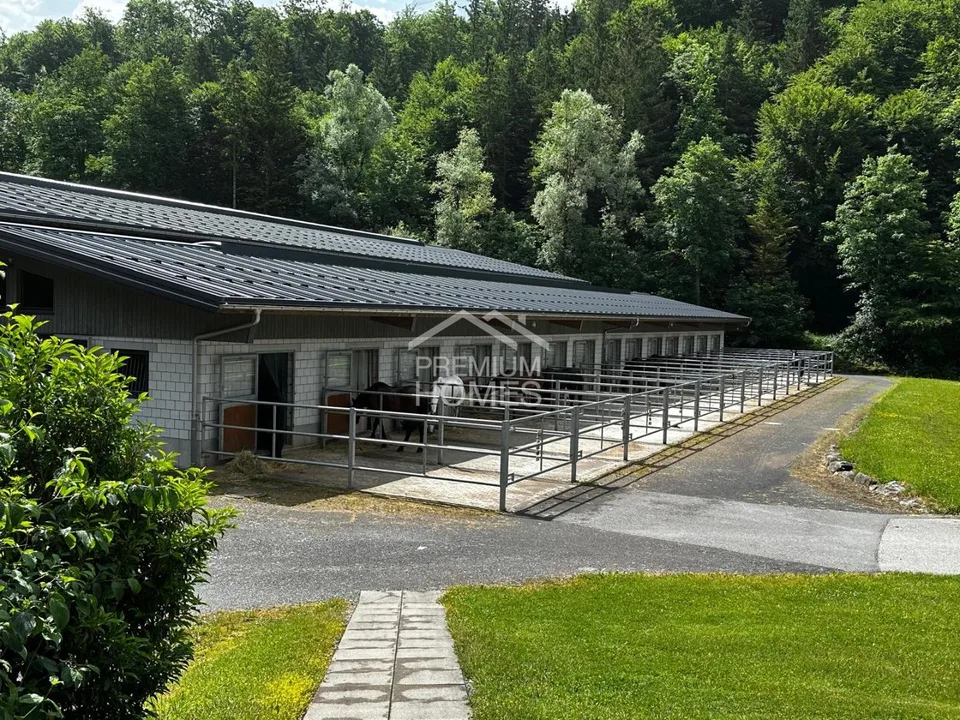 Professional Equestrian Facility with 24 Stalls, Riding Arena, and Residential House! – photo 12 of 13