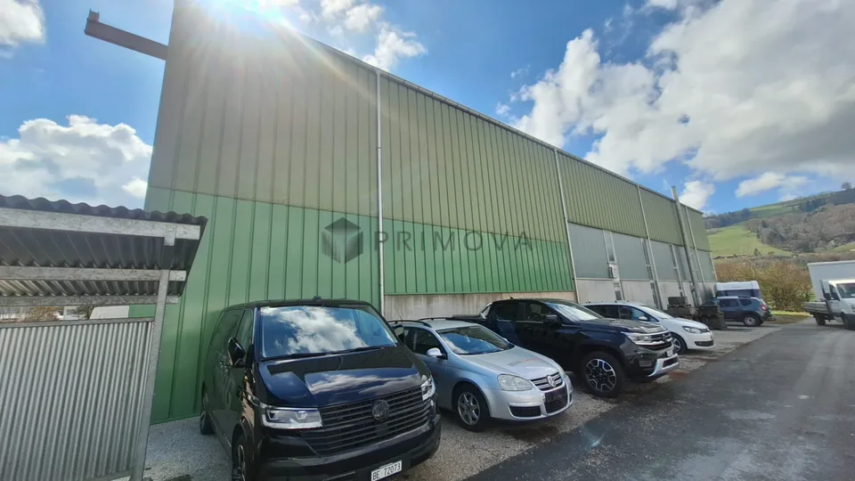 Gewerbehalle mit Aussenfläche - ideal für Logistik und Transport