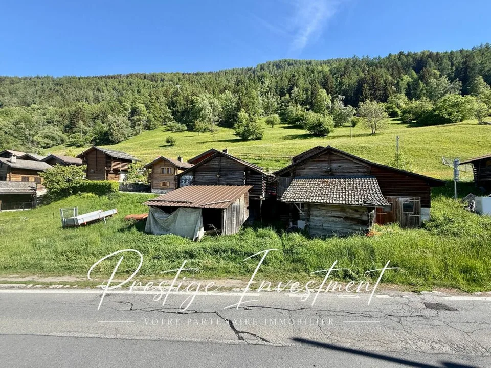 GRUNDSTÜCK MIT SCHEUNE STALL ZU RENOVIEREN NENDAZ