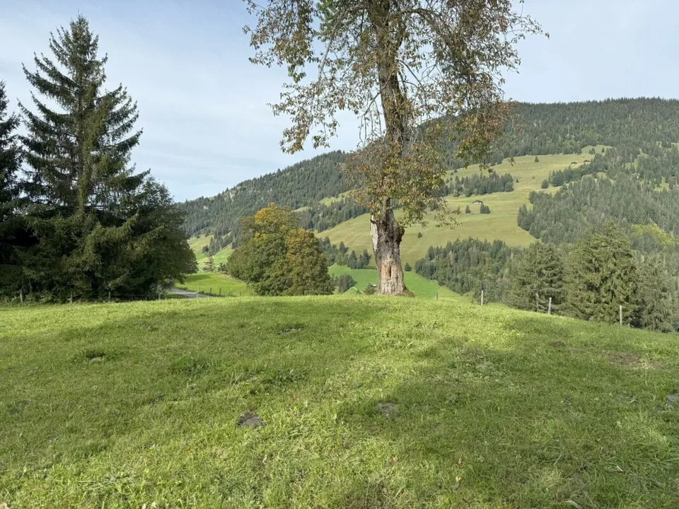 Bauland an sonniger und aussichtsreicher Lage in Zweisimmen (Rinderberg)