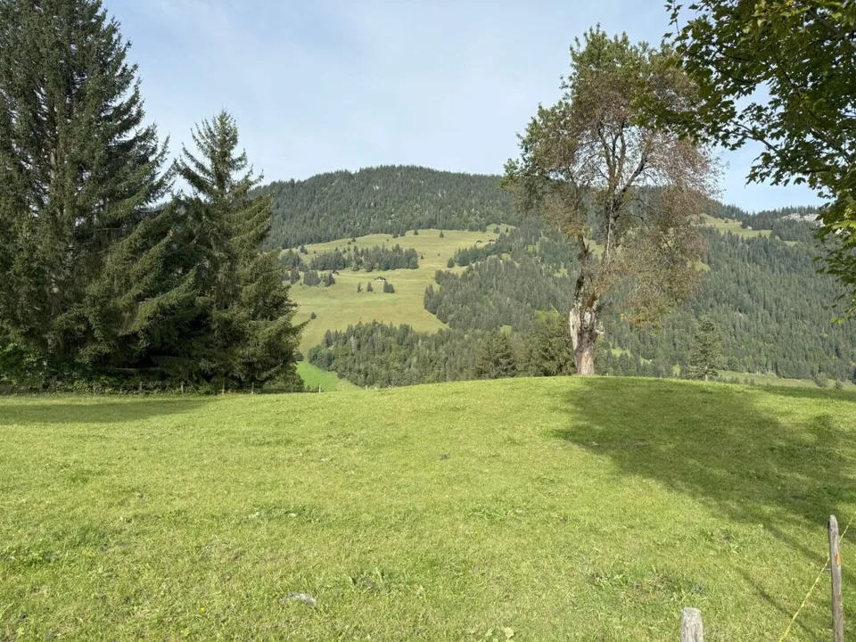 Bauland an sonniger und aussichtsreicher Lage in Zweisimmen (Rinderberg)