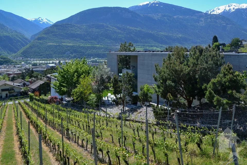 Wunderschönes Grundstück mit Blick auf Sierre in einer Villengegend von 1'099 m2