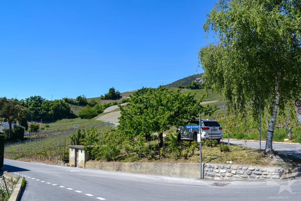 Magnifique parcelle surplombant Sierre dans zone villa de 1'099 m2 – photo 7 sur 9