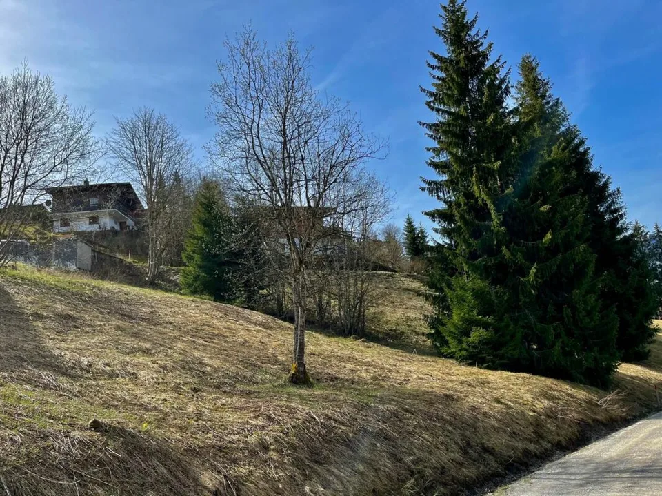 Grosse Baulandparzelle von 906 m2 an erhöhter Lage in Plaffeien FR
