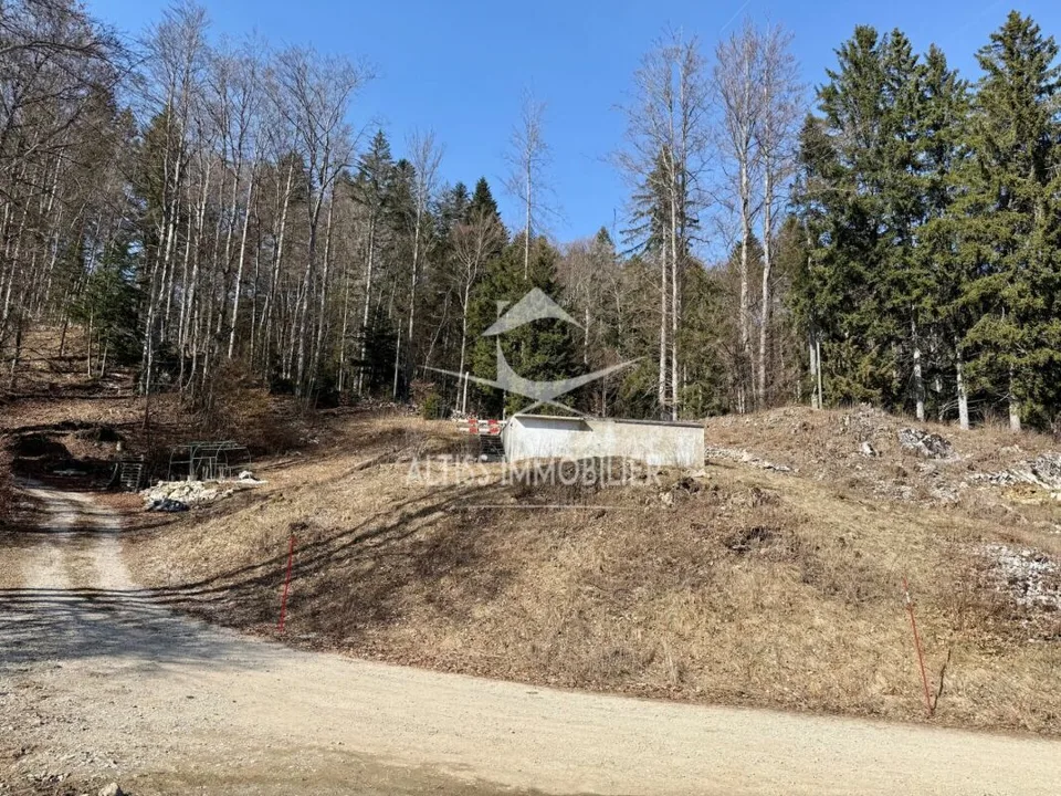 Duplex de 5,5 pièces – photo 12 sur 13