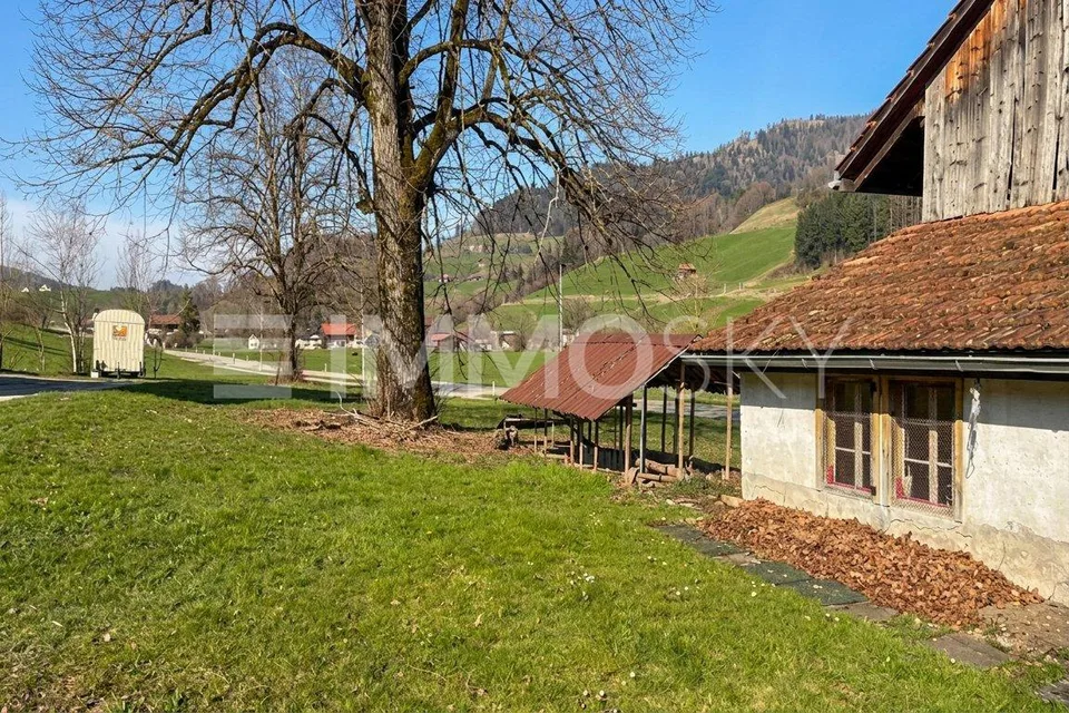 Ein Zuhause mit Herz, ein Projekt mit Zukunft