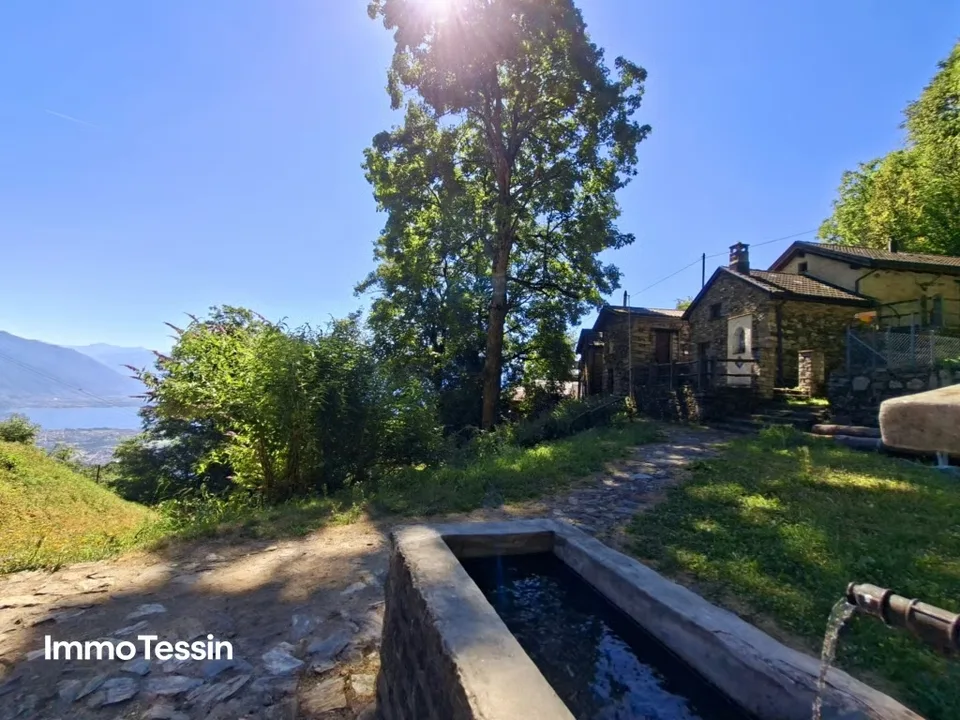 GELEGENHEIT: Wunderschönes Rustico mit einmaliger Panorama Seesicht an einem Ort der Ruhe hoch über dem Lago Maggiore – Foto 6 von 13
