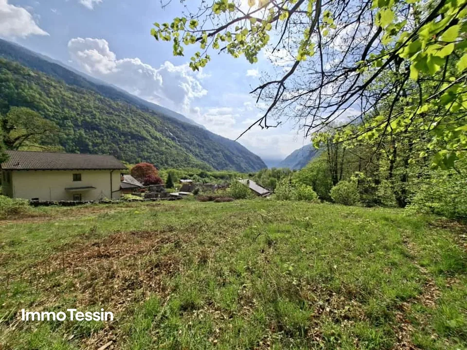 Grosszügiges Bauland mitten in der Natur mit Waldparzelle an sonniger, naturnaher Lage 10 Autominuten von Biasca entfernt