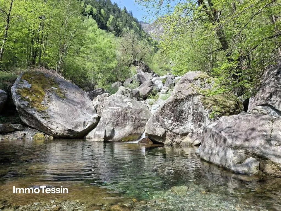 Grosszügiges Bauland mitten in der Natur mit Waldparzelle an sonniger, naturnaher Lage 10 Autominuten von Biasca entfernt